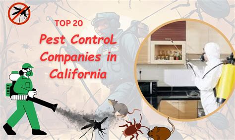 TOP 10 BEST Pest Control Companies in San Jose, CA .